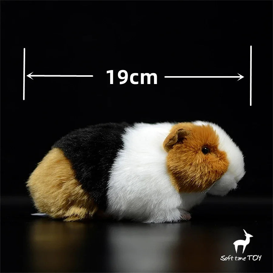 Guinea Pig Plush TOY